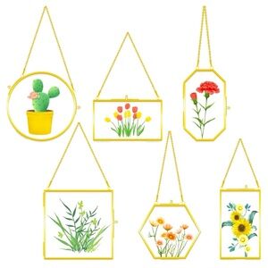 6 Pcs Brass Glass Frame for Pressed Flowers Hanging Picture Frames with Chain.
